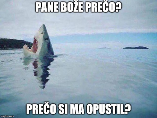 Príspevok 96738